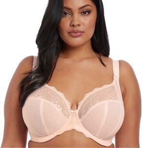 Elomi EL4382 Charley Stretch Lace Underwire Plunge Bra baby pink